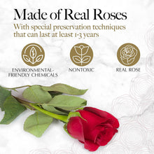 Load image into Gallery viewer, Forever Roses Heart Box – Luxury Preserved Flower Arrangement