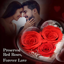 Load image into Gallery viewer, Preserved Rose Box for Her, Forever Real Flowers with Sterling Silver Necklace - Romantic Gift for Delivery on Valentine’S Day, Christmas, Birthday, Anniversary
